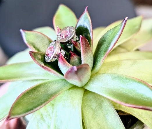 Light Rose